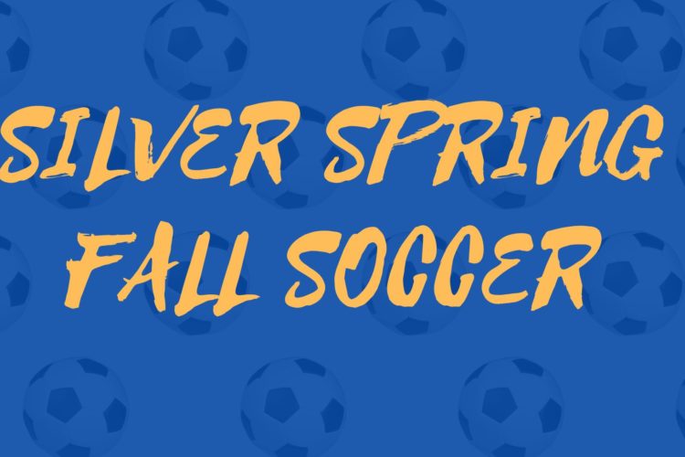SOCCER PRINTEMPS AUTOMNE ARGENT